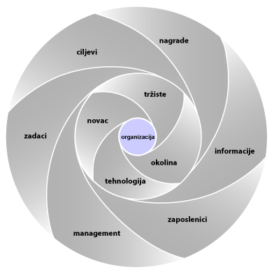 Organizational Model