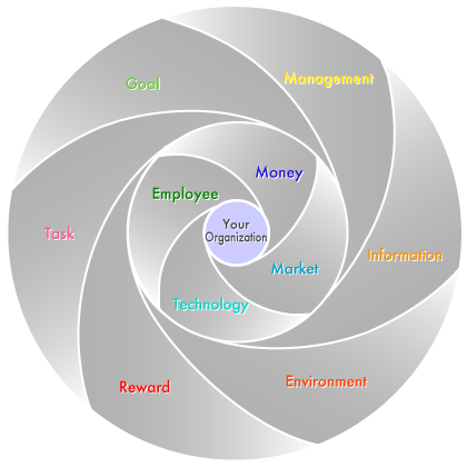 Organizational Model