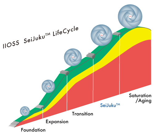 SeiJuku™ Lifecycle model