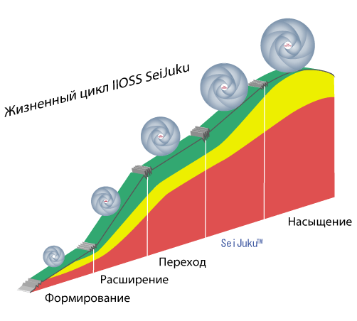 SeiJuku™ Lifecycle model